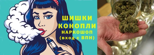 прущий лед Пересвет