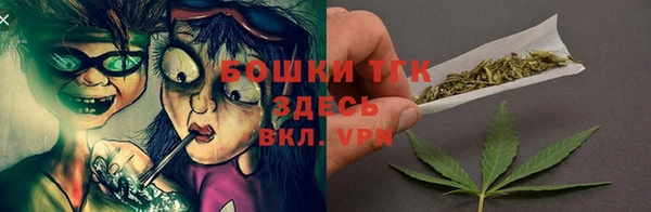 прущий лед Пересвет