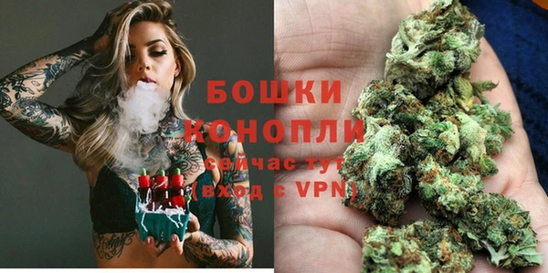 прущий лед Пересвет