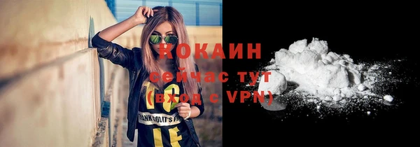 прущий лед Пересвет