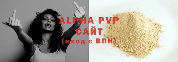 прущий лед Пересвет