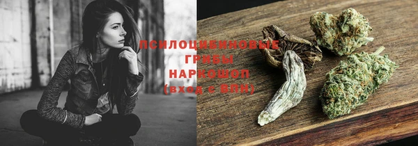 прущий лед Пересвет