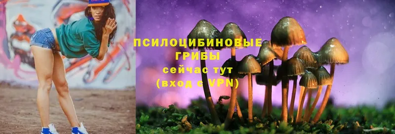 Галлюциногенные грибы Magic Shrooms  МЕГА ТОР  Козьмодемьянск 