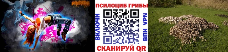 Псилоцибиновые грибы Cubensis  OMG   Козьмодемьянск 